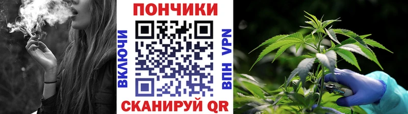Гашиш Стародуб