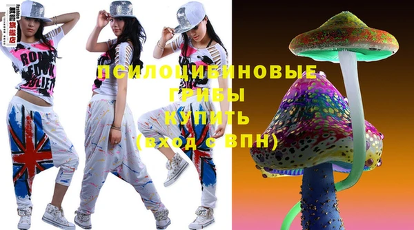 метадон Новодвинск