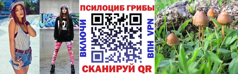 Галлюциногенные грибы ЛСД  Стародуб 
