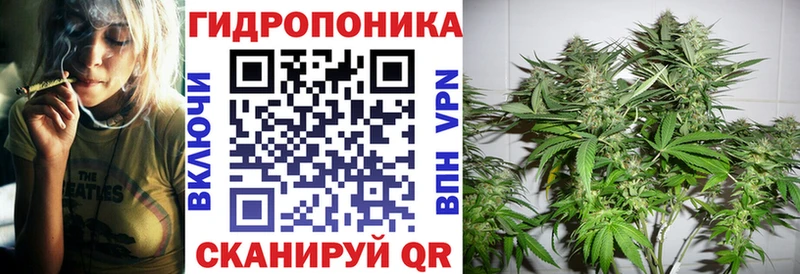 Каннабис Amnesia  дарнет шоп  kraken зеркало  Стародуб 